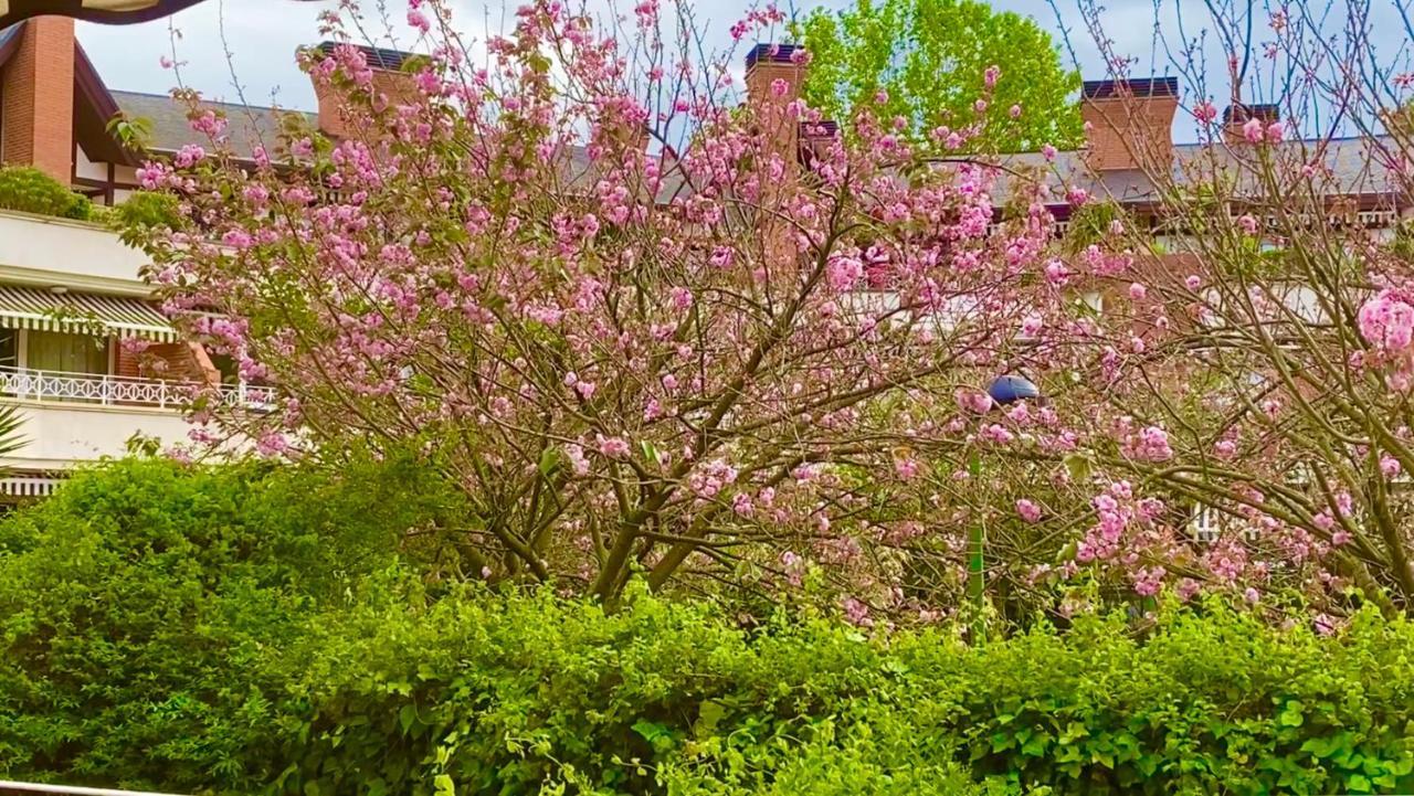 Apartamento Con Jardin Getxo Esterno foto